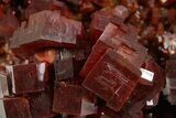 Top Quality, Deep Red Vanadinite Crystal Cluster - Large Crystals #368126-1